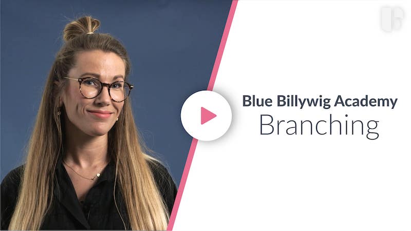 Blue Billywig Academy